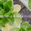 이지샐러드 이미지