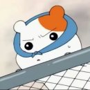 어반스테이속초등대해변 이미지