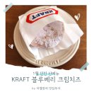 1월 던킨 신메뉴 도넛 블루베리 크림치즈 솔직 후기 🍩 맛, 칼로리, 가격까지!