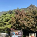 충주 가을 여행 , 엄마랑 다녀온 충주호 크루즈 장회나루 탑승 후기 (장회나루-청풍나루 코스)
