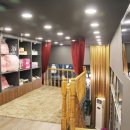 아이러브독 애견미용실 이미지