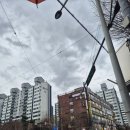 데이지 | 청주 두피 관리 더 데이지 후기