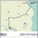 자전거문화센터 화장실 티스토리
