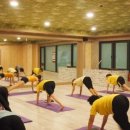비너스요가