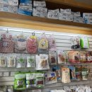 평촌나무동물병원 이미지