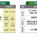 보험케어