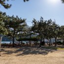 산양초등학교풍화분교장 이미지