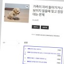 낭창한 강아지 이미지