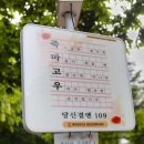 잿골체육공원 이미지