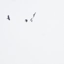 금호강2 이미지