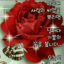 오늘도화이팅 이미지