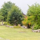 커피꽃향기 이미지