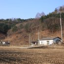 신읍리율대 이미지