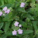 문암가든 이미지