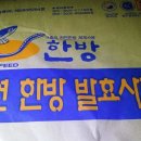 무태 이미지