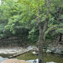 금산산림문화타운캠핑장 | [대전 근교 계곡 추천] 금산산림문화타운 평상 대여 - A1-02 평상 후기