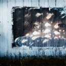 이지후 카카오 검색결과