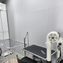 뚱몽이네 이미지