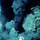 생명의 분출 이미지