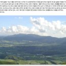 펀치볼민박 이미지