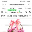 아기별플라워
