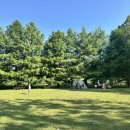 하늘농장6 이미지