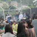 중앙애견미용 이미지