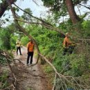 서천소방서-55 이미지