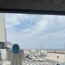 제주핀서프 | [제주/건입동 쇼핑] 👙스위머, 서퍼를 위한 편집샵 ‘리프 LEAP’ 2층 리뷰