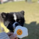 딩가댕가 이미지