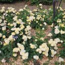 나들목사우나 이미지