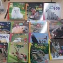 16개월 아기책/무무의사계절/애니멀하우스 자연관찰책/페파피그 보드북세트/메이지 북타워세트