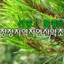 산야초 종류와 효능 이미지