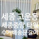 고운동_세종중앙타워 | [출장/수거배송분갈이] 세종시 고운동 세종중앙타워 상가 화분교체 수거배송분갈이