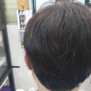 김호증모가발대구체인헤어슈