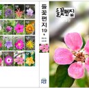 들꽃편지 이미지