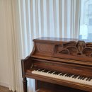 3개월 3곡완성 우쿨렐레 | [부산대/장전동기타학원] 3개월차에 Day6 - Happy 완성해봤어요! [통기타,일렉기타,베이스레슨]