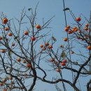 고갯마루 이미지