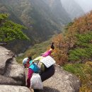 자연을 아끼고 보호하는 아름다운 여심(女心) 이미지