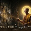 싱갈라 - 중구 자갈치로 34 | 싱갈라