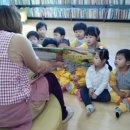 영랑작은도서관 이미지