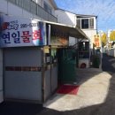 연일정보 | [포항 맛집] 연일물회 내돈내산 후기| 포항식 물회 맛집