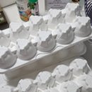 해오름농장-2 이미지