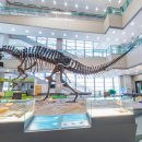 서대문자연사박물관(11월~2월) 이미지