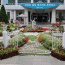 부암1동 주택인근 이미지