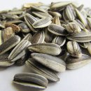 영바디짐 이미지