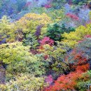 피아골(기산) 이미지