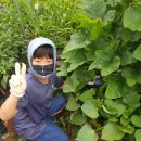 은찬농장 이미지