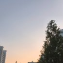 슬기로운 자취생활.