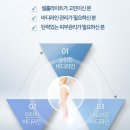 올가라인화장품 네이버블로그